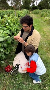 1.2M views · 10K reactions | Strawberry, Raspberry & blueberry fields forever  | Anne Curtis Fans | Facebook