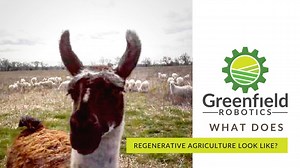 Livestock are a key part of regenerative farming. After we harvest...