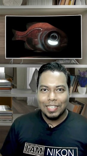 Siri Haiwan Rare Part 16 - Lantern Eye Fish #fyp #faktakhai #tiktokguru #Learnontiktok #jombelajar