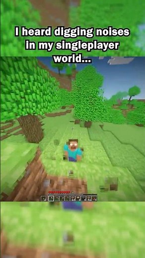 I found Herobrine in my world...