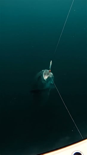 🤯 I Can't Believe This Actually Happened! 😱 UNBELIEVABLE Randomness! 🤣 #Shorts