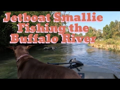 Smallmouth Bass and a Jet Boat on the Buffalo River!