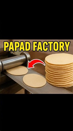 Papad Kaise Banta Hai? 😲 10 Second Fact | Amazing Food Factory Process