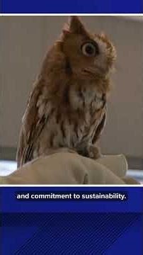 Cleveland Museum of Natural History honored as one of world's most beautiful museums by UNESCO