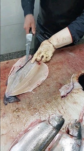 How To: Scale, Clean and Fillet a Trout 👍