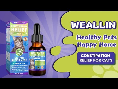 How to Help Your Cat With Constipation Fast! | WEALLIN
