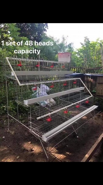 RTL 3-Layer D Type Chicken Cage | Backyard Farming Design