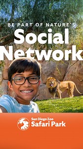 Join us at the San Diego Zoo Safari Park | San Diego Zoo Safari Park | Facebook