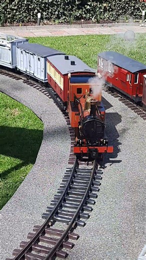 Beautiful Manin in the sunshine #train #livesteam #railroad #steamengine #modeltrains