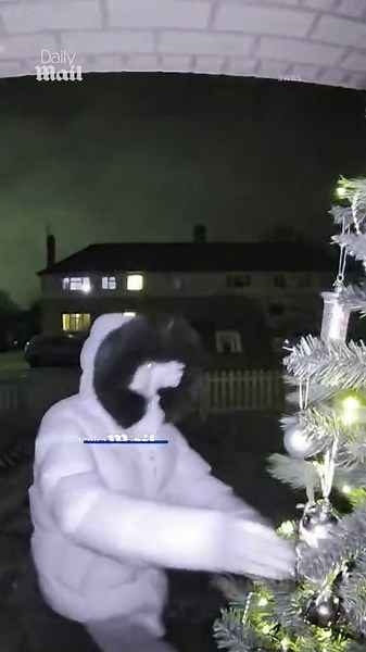 Moment real-life Grinch is caught on CCTV stealing Christmas tree