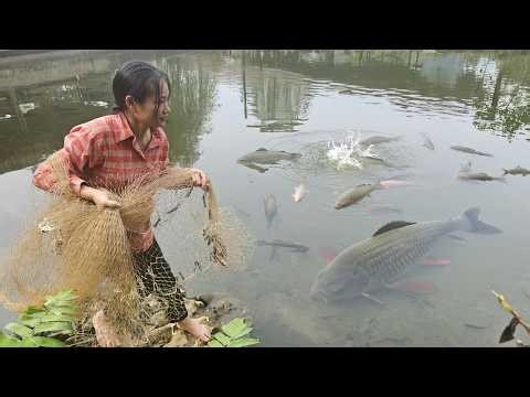 I Threw One Net… And Caught THIS MUCH?!