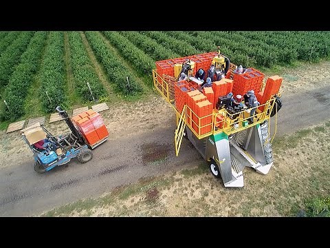 Oxbo 7450 Top Load Berry Harvester