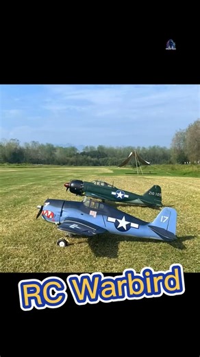 RC warbirds flight #rcmodel #rcwarbird #rcplane #scalemodel #rchobby #wwii