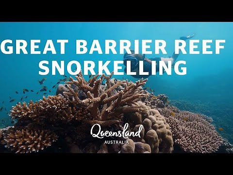 Best places to snorkel in Cairns & Great Barrier Reef