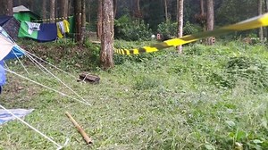 Police Line Used Area Delimiter: vídeo stock (100% livre de direitos) 1090528309 | Shutterstock