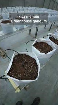 Yuk Ke Agrifarm - Smart Farming Field Trip