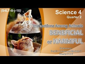 SCIENCE 4 – QUARTER 2 – Week 5 & 6 │ Interaction Between Organisms - BENEFICIAL or HARMFUL │ DepEd