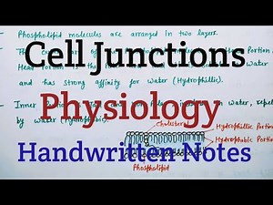 Cell junction || Review of Sembulingam || Handwritten Notes #mbbs #bams #bhms #nursing #bpt #study