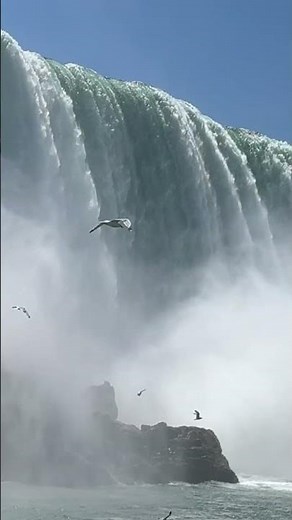 Worlds greatest natural beauty - Riding the Maid of the Mist at Niagara Falls with ‪@Rima_usa‬