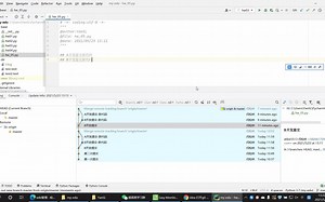 pycharm+git版本回退-返回
