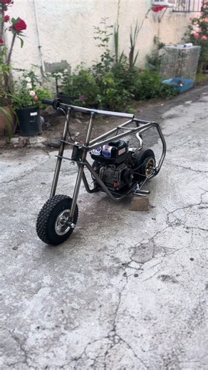 Exciting Mini Bike Roller Adventure