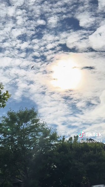 #عمر_دياب #اغاني_قديمة #🇨🇦