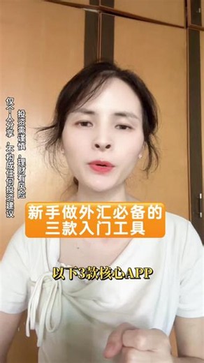 Mt4外汇账户怎么用欧易入金