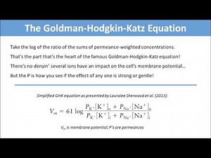 The Goldman-Hodgkin-Katz Equation