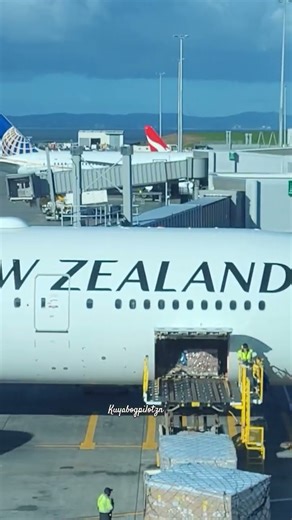 Boeing 777 Loading Cargo | Tarmac View #kuyabogpilotzn #airnewzealand #boieng #777 #loading #cargo