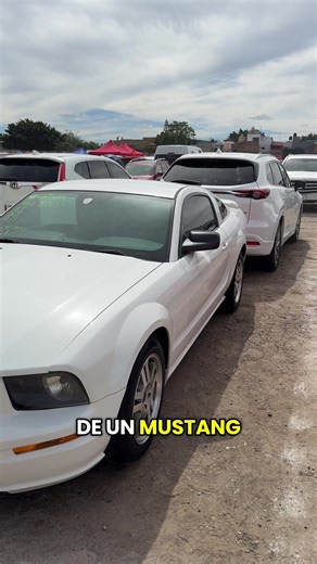 Ford Mustang 2005 en Tianguis de autos Guadalajara Jalisco México #fordmustang #ford #mustang #tianguisdeautos #autosenventa