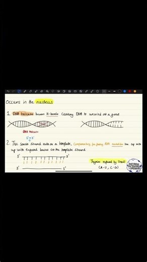 Protein Synthesis Explained!!!