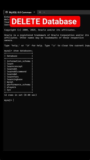 How to Delete Database in SQL #database #sql #learn #coding #shorts #trending