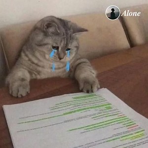 185K views | 푨풍풐풏풆 on Reels | Facebook