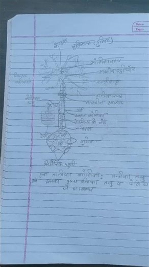 # 10th class # Most important Biology diagrams #
