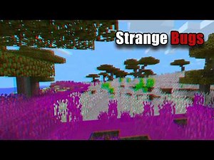 Strange Glitches in Minecraft