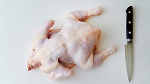 All About Meat Birds | Meyer Hatchery Blog