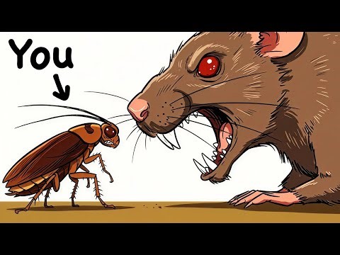 Your Life as a Cockroach