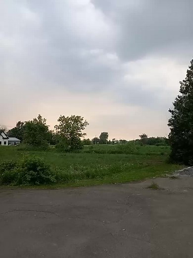 Marvin the martian on TikTok