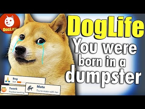 i lived a very sad life as a Dog - DogLife (From the creators of Bitlife)