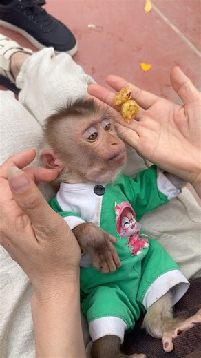 mother took dirty things from the monkey's mouth🙉🙉🙉