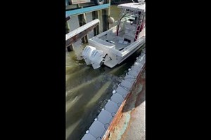 Used 1996 Pro-Line 2950 Walkaround, 08879 South Amboy - Boat Trader