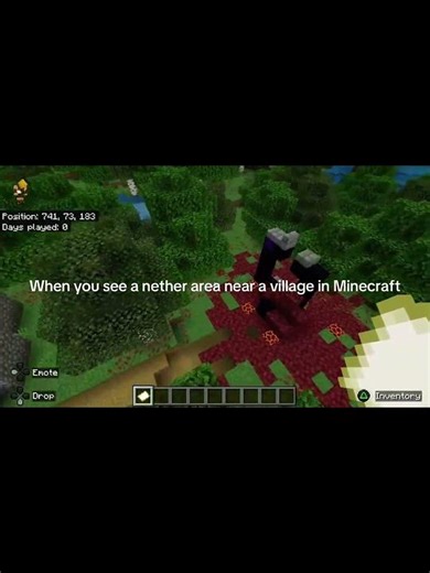 When you see a nether area, near an area village in Minecraft.