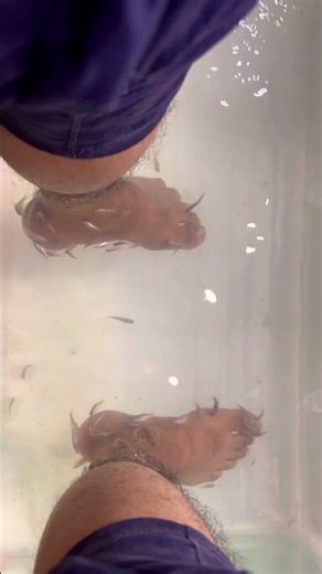 Fish Therapy #music #Therapy #2026 #medical #fish #fishtherapy