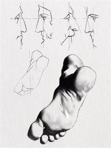 Classical Drawing Training: Day 1 Bargue Plates