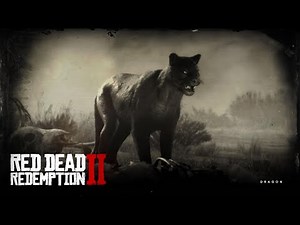 How to Find and Kill The Legendary Cougar In Red Dead Redemption 2