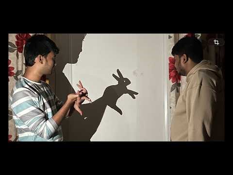 hand Shadow Puppet performance