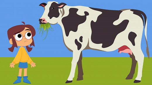 What do animals eat? - KS1 Science curriculum - BBC Bitesize