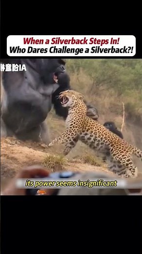 #handwork #Manufacturing #Build #Creativity #Repair #DIY #challenge #Treasurehunt #animalworld