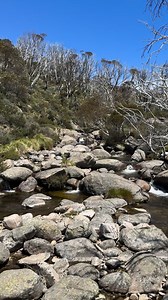 10K views · 227 reactions | Blue Cow Creek was absolutely exquisite, it’s the last creek to be found along the Guthega Hike. The breeze of the creek cooled us down. This creek runs into the Guthega Pondage along with the Snowy River which is stored and released when power is needed. | Victorian Creeks and Rivers; Friends of Deep Creek | Facebook