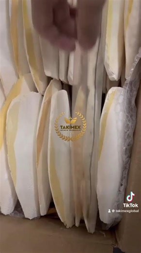 DRIED CUTTLEFISH BONE